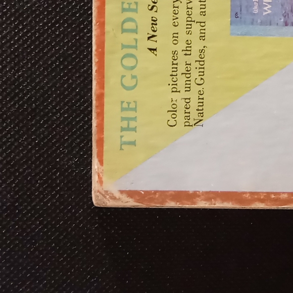 Vintage 1959 Walt Disney's "Tonka" Little Golden Book - Picture 13 of 16